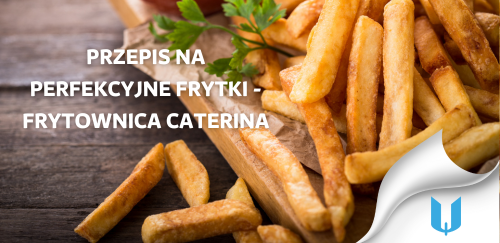 Przepis na perfekcyjne frytki z wykorzystaniem frytownicy Caterina